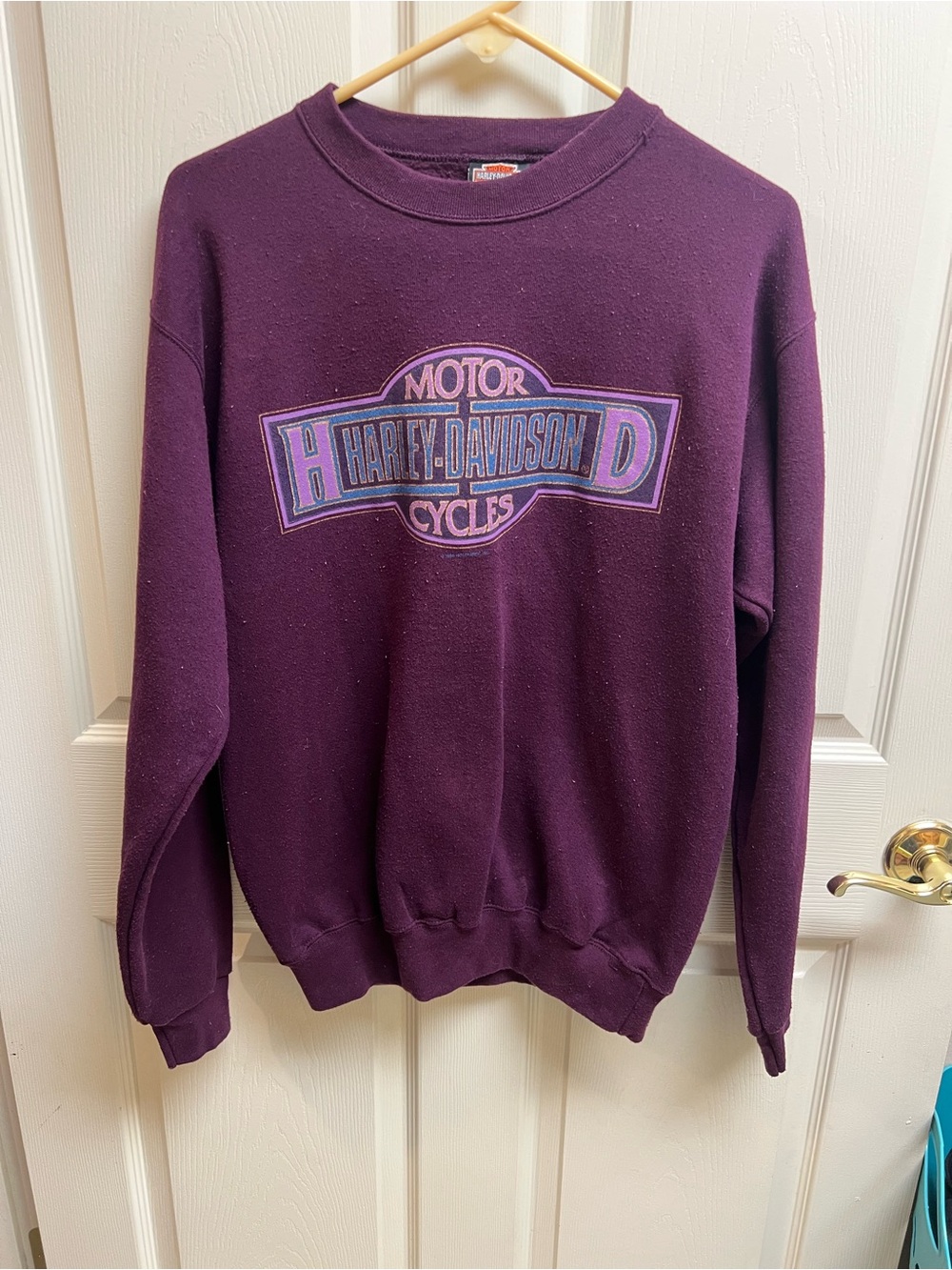Vintage 1995 Harley Davidson Crewneck, Size Women’s Medium